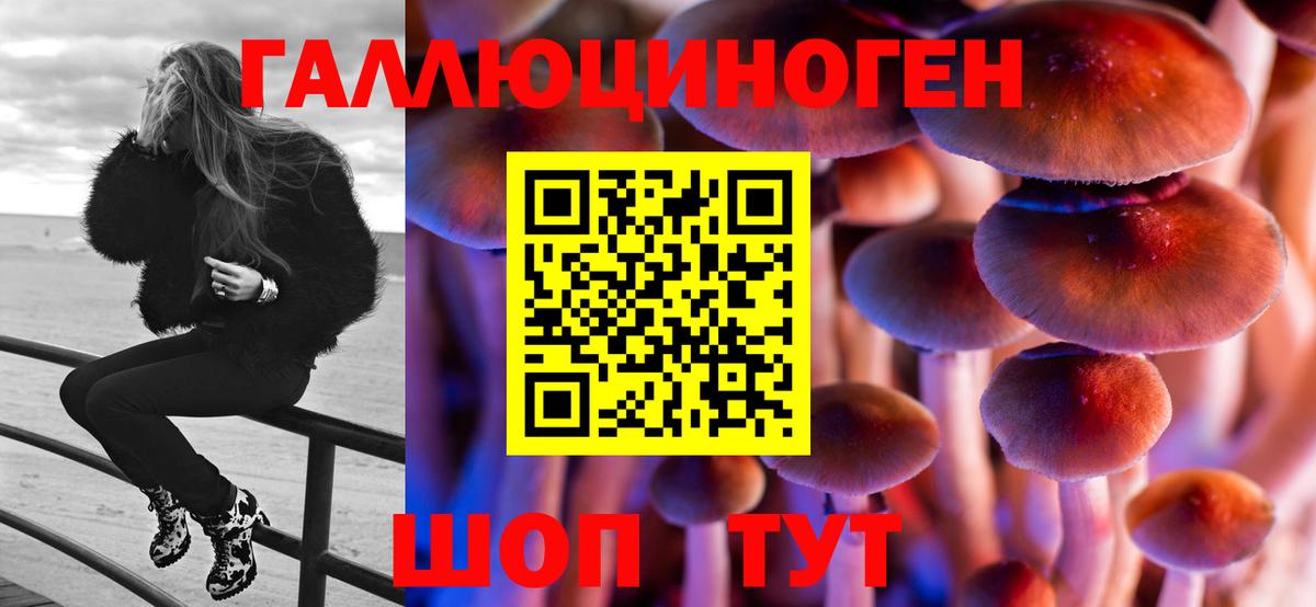 Борисоглебск  Галлюциногенные грибы Psilocybine cubensis  Вход с VPN  Галлюциногенные грибы ЛСД 